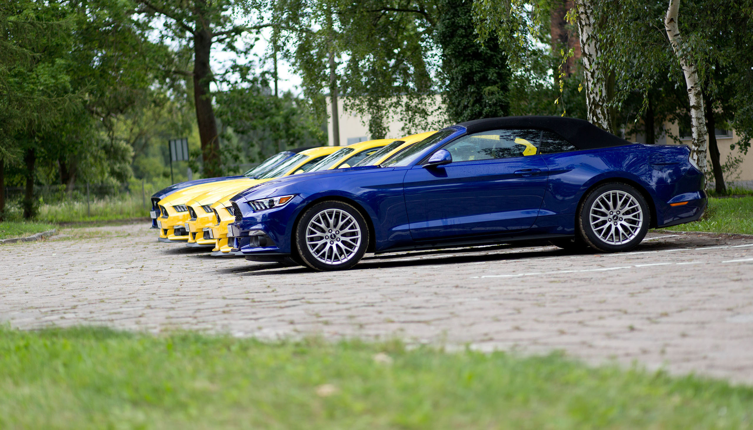 Ford Mustang 2.3 EcoBoost/5.0 V8 | fot. Maciej Polikowski